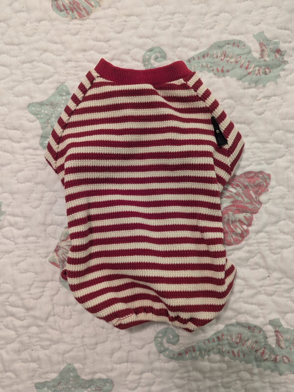 Small Pet Striped Outfit